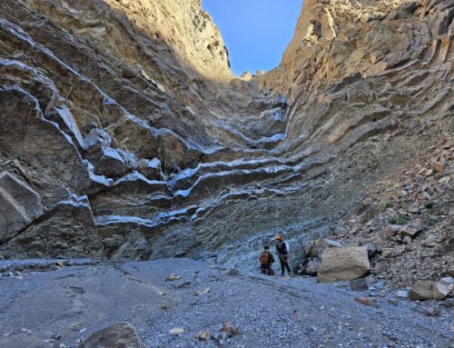 Grotto Canyon Layer Fork, Death Valley NP, California