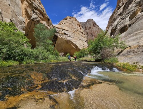 Lower Death Hollow, Escalante, Utah