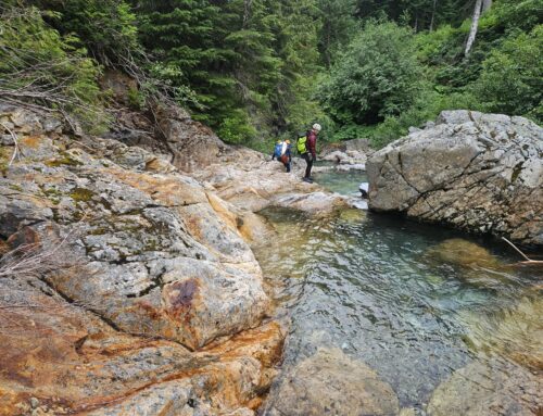 Mineral Creek, Alpine Lakes Wilderness, WA