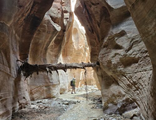 Minaret Canyon to Mineral Gulch