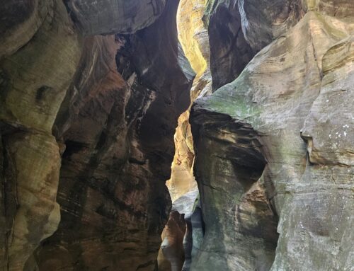 Bear Canyon, West Clear Creek Wilderness, Arizona