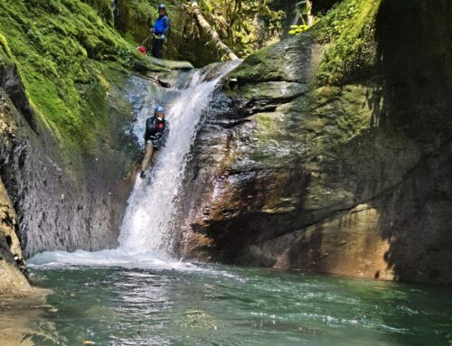 Davis Creek, Gifford Pinchot NF, Washington