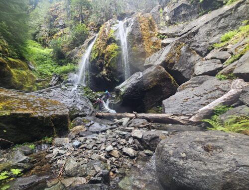 Olallie Creek, Rainier NP, Washington