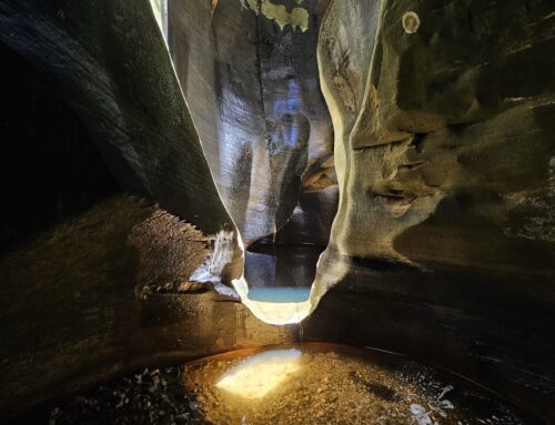 Illusions Canyon, Coconino NF, Arizona