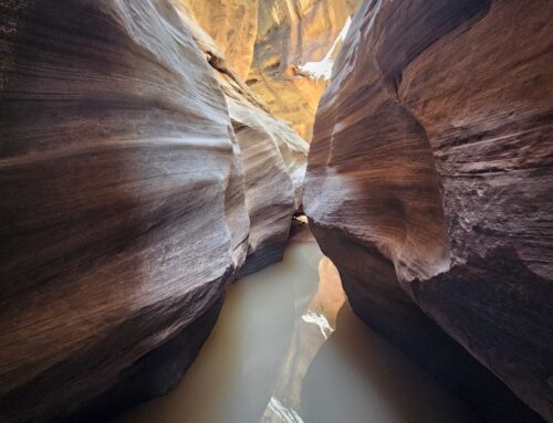 Cheesebox Canyon, Cedar Mesa, Utah