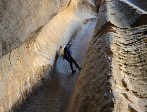 Birch Hollow, Zion NP, Utah