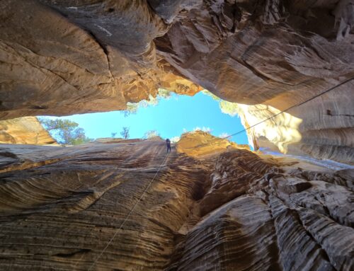 Walker Gulch, Zion NP, Utah