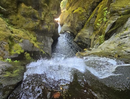 Lower Fulton Creek, Washington