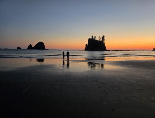 South Coast Route, Olympic NP, Washington