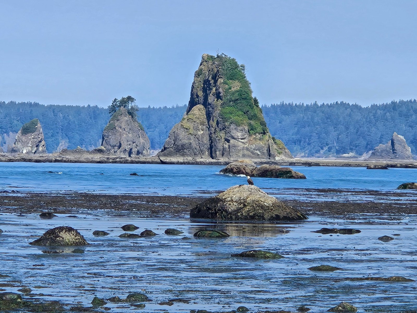 20260804_110324