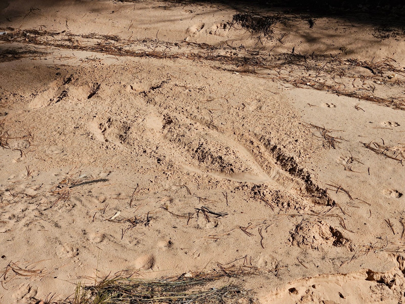 20241208_112246
