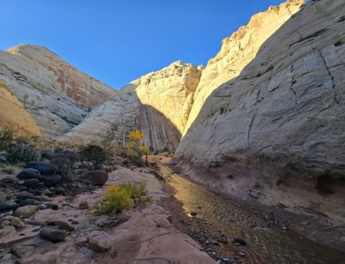 Wingate Wander, Capitol Reef NP, Utah